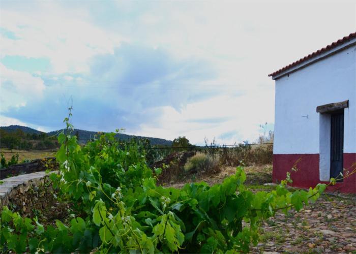 Casa Rural El Abuelo Alonso La Codosera Extérieur photo
